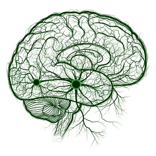 ¿El cerebro vuelve a la normalidad después de un trauma emocional?