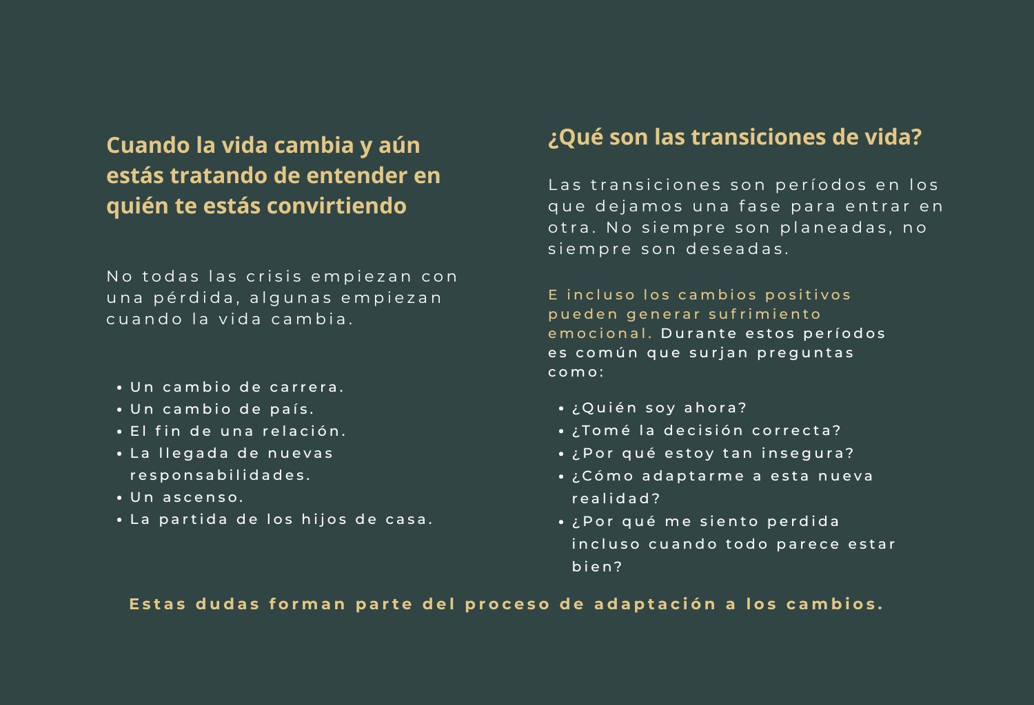 psicologa-en-linea-elizabeth-hernandez-separacion-jubilacion-cambiar-de-pais-18.jpg
